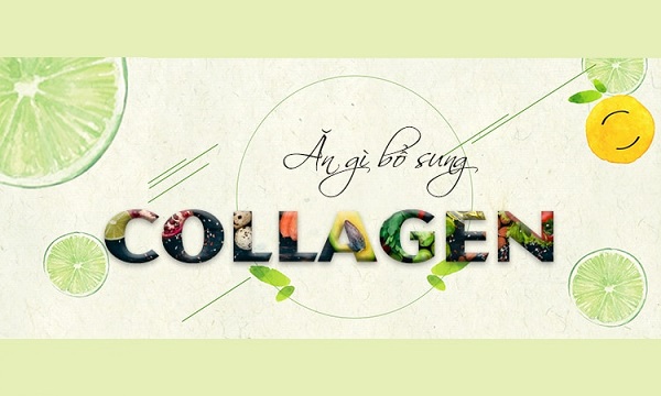 Ăn gì bổ sung collagen hiệu quả nhất