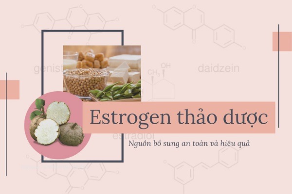 Estrogen-thao-duoc-pho-bien