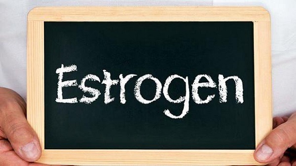Hàm lượng estrogen cao