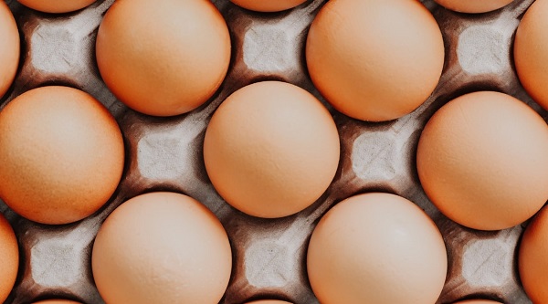 Trứng gà tốt cho quá trình giảm cân và thúc đẩy sản sinh estrogen