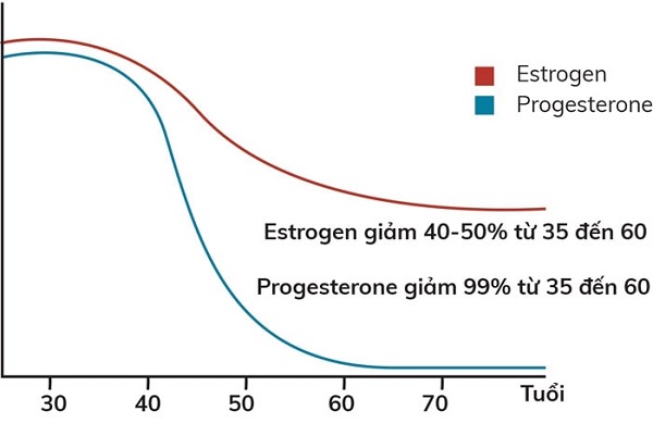 Estrogen và progestrogen biểu đồ nội tiết tố nữ