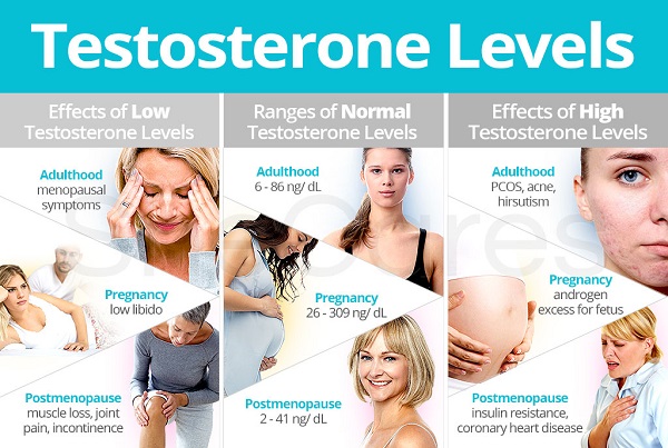 Testosterone là loại hoocmon có trong cả cơ thể nam giới và nữ giới