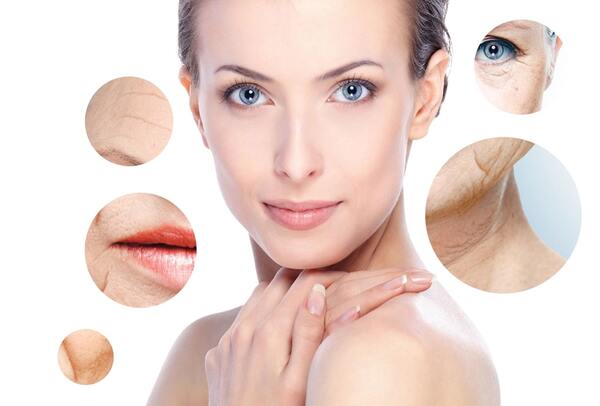 Collagen có tác dụng đặc biệt giúp làn da trở nên đàn hồi, mịn màng
