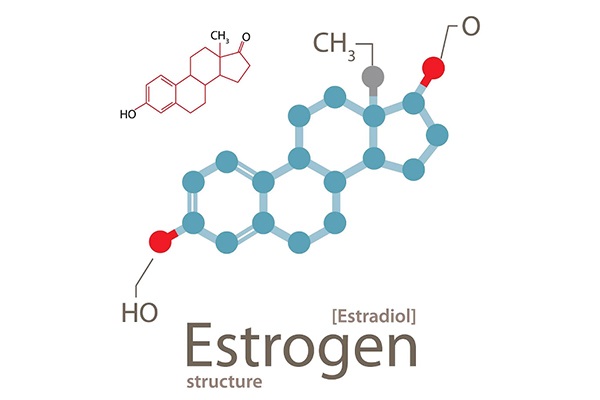 Vai trò của nội tiết tố nữ Estrogen với sức khỏe, sắc đẹp và sinh lý nữ