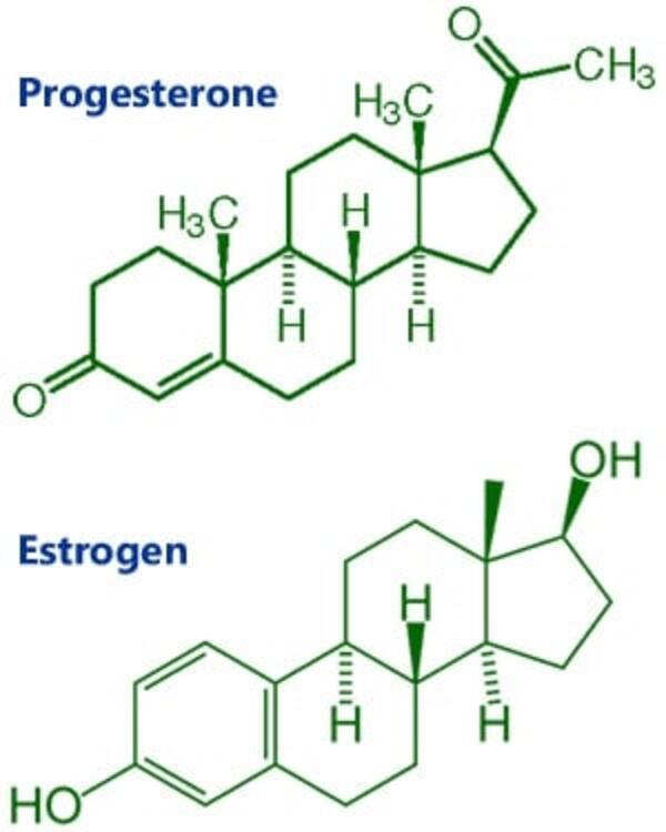 Progesterone và estrogen