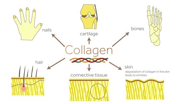 Collagen uống 1 ngày mấy viên
