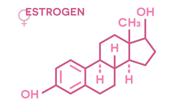 vai-tro-cua-estrogen-va-progesterone