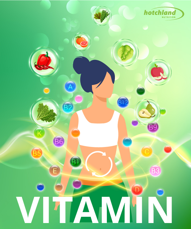 Vitamin_Vitamin-vs-Omega-cho-nguoi-tap-the-thao-Hotchland-Nutrition